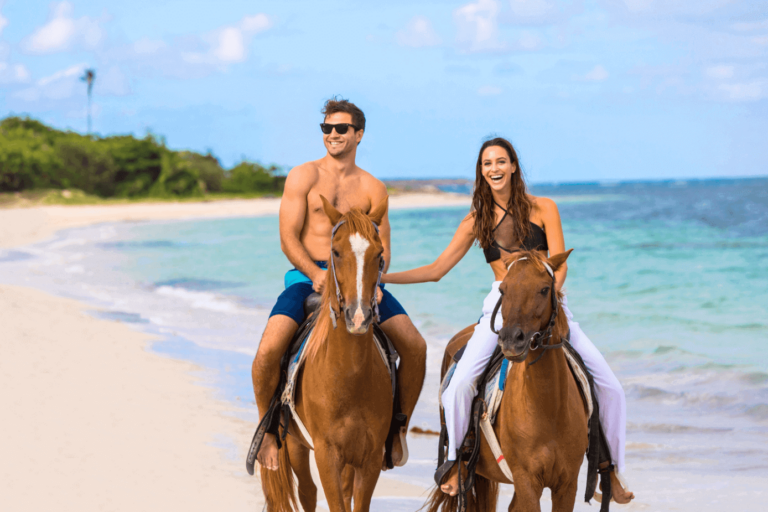 Signature Excursions by Serenity with Your Other Half